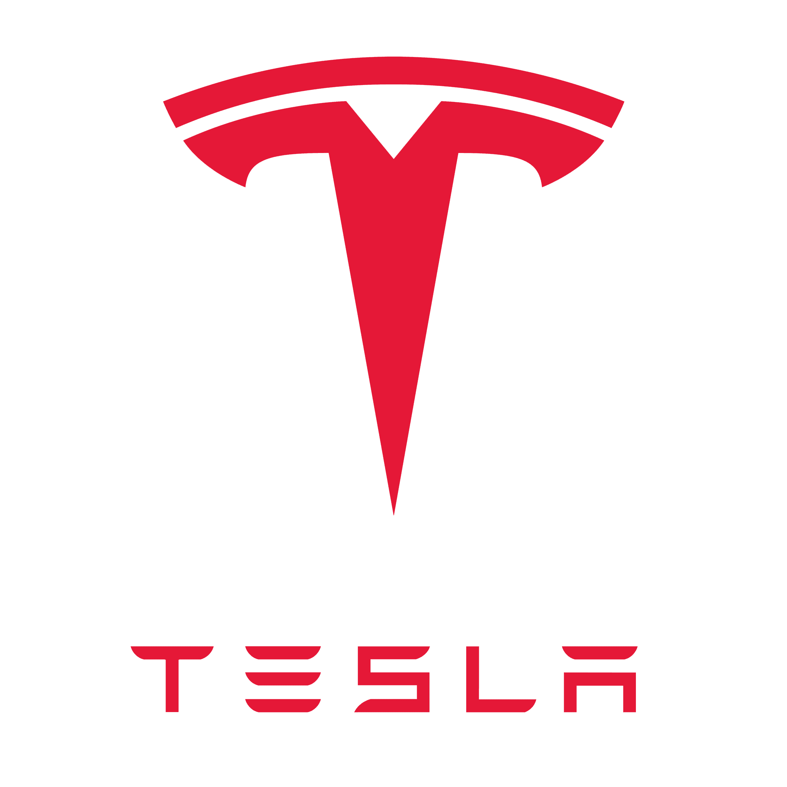 Tesla · SWE Intern